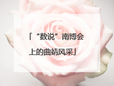“数说”南博会上的曲靖风采
